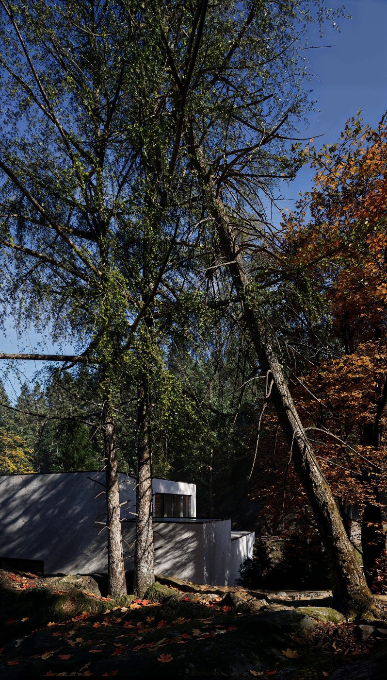 Villa Skoglø — context